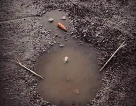 pic