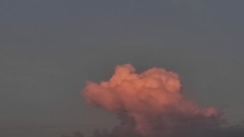 pic