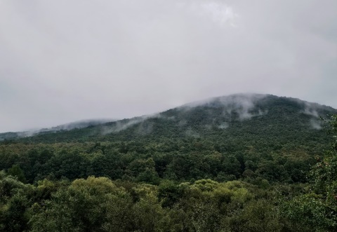pic