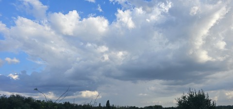 pic