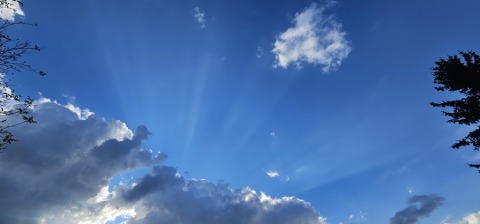 pic