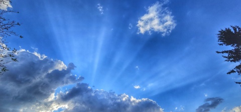 pic