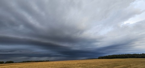 pic