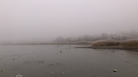 pic