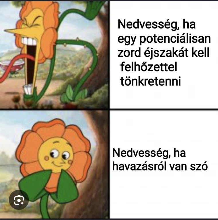 beillesztett kép