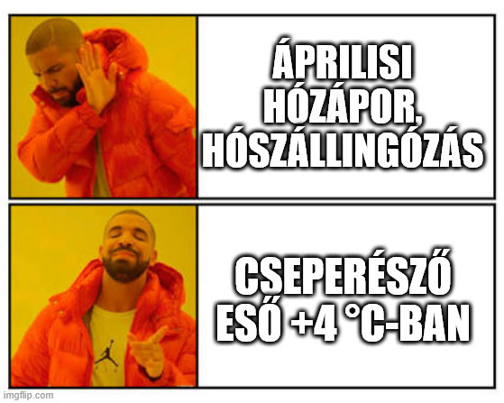beillesztett kép