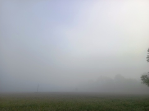 pic