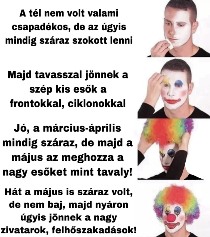 beillesztett kép