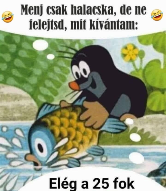 beillesztett kép