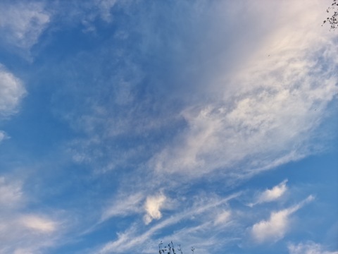 pic