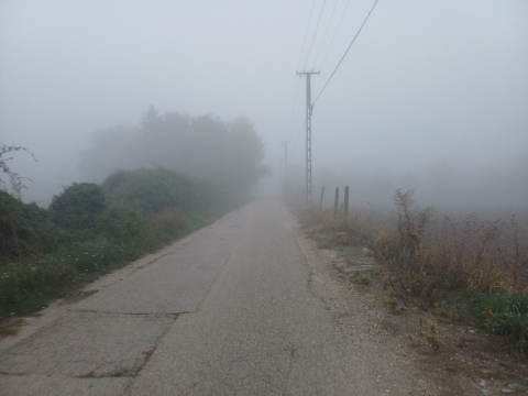 pic