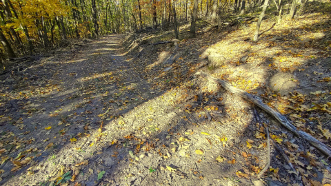 pic