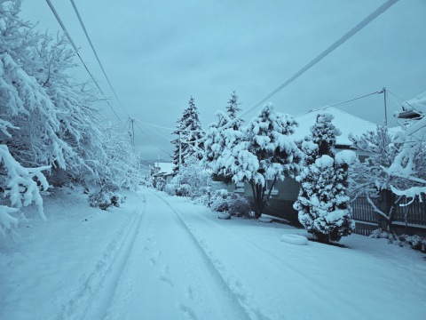 pic
