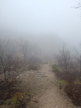 pic