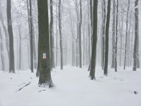 pic