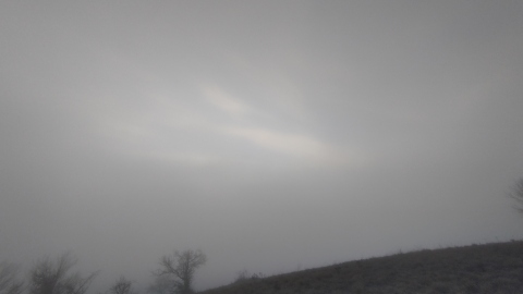 pic