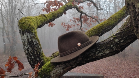 pic