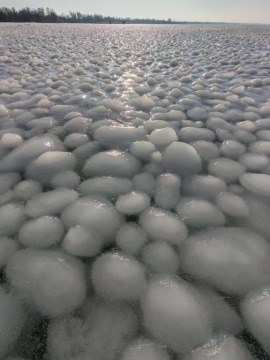 pic