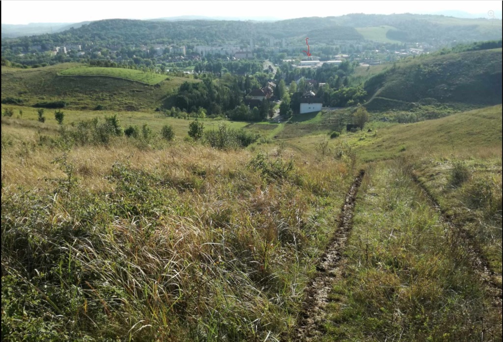 beillesztett kép
