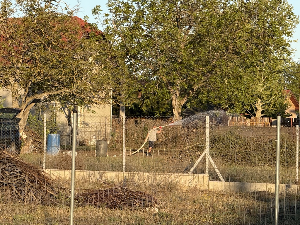 beillesztett kép
