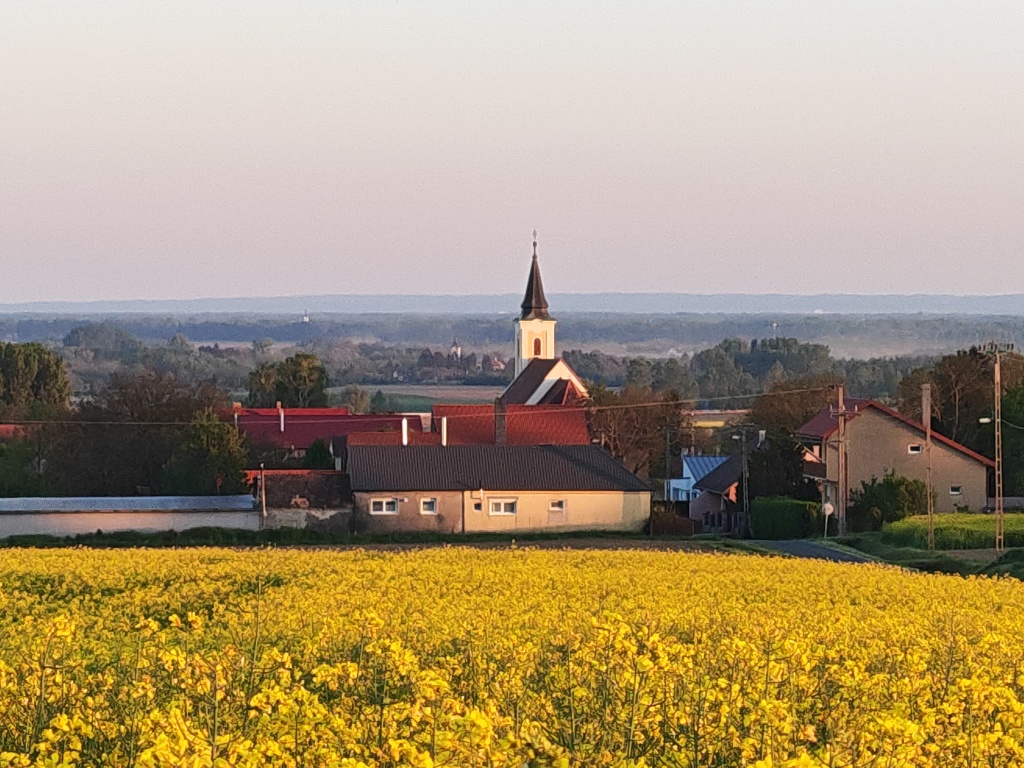 beillesztett kép