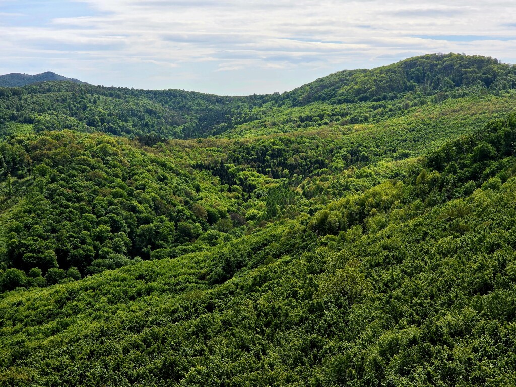beillesztett kép