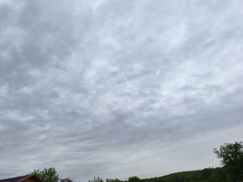 pic