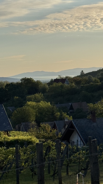 beillesztett kép