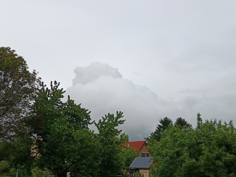 pic