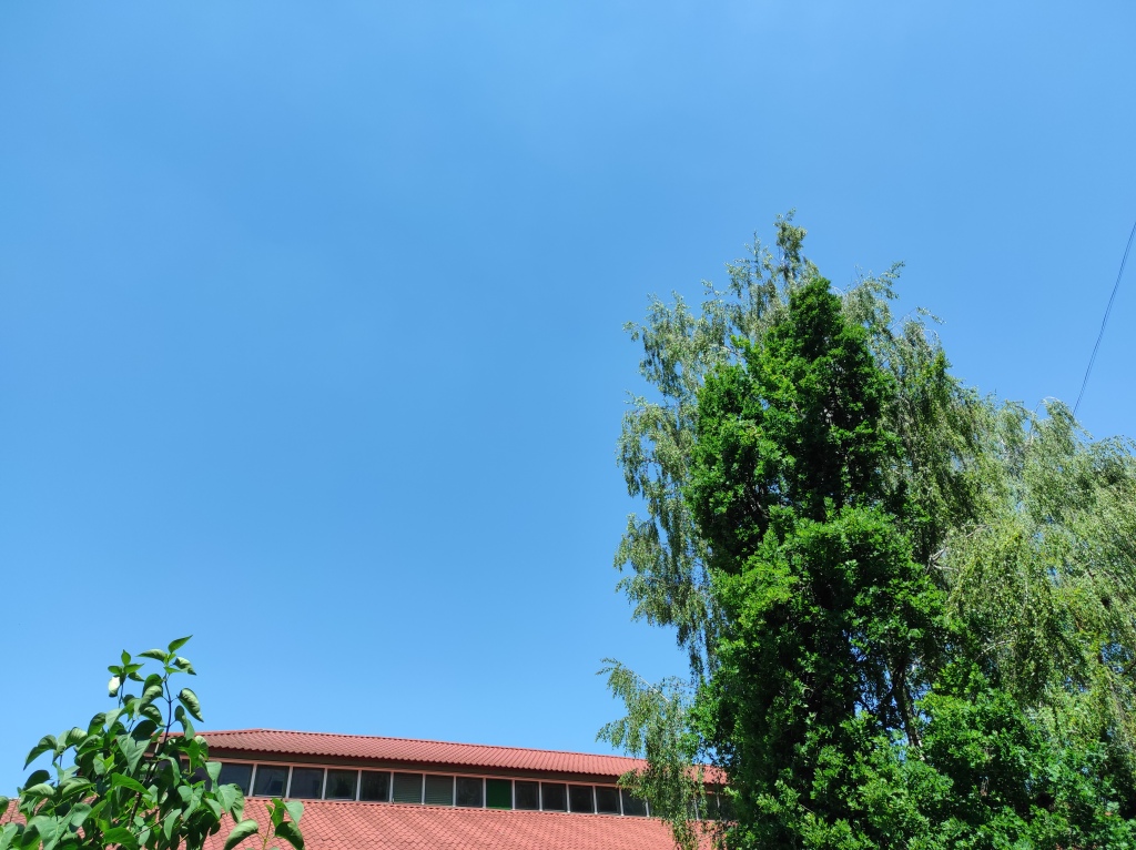 beillesztett kép