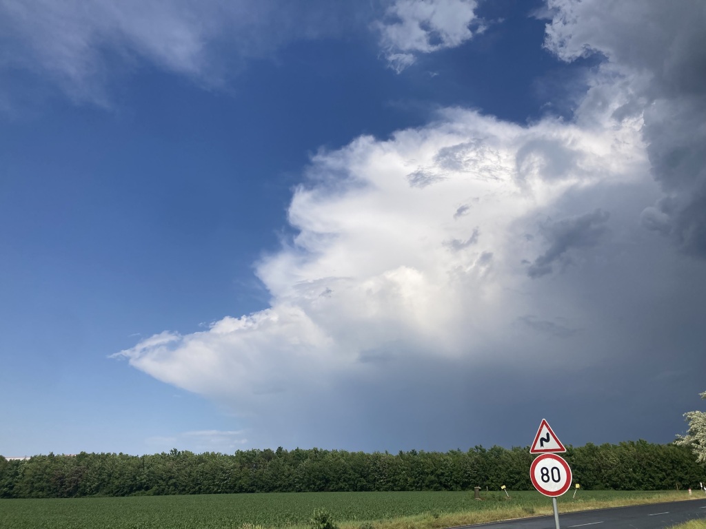 beillesztett kép