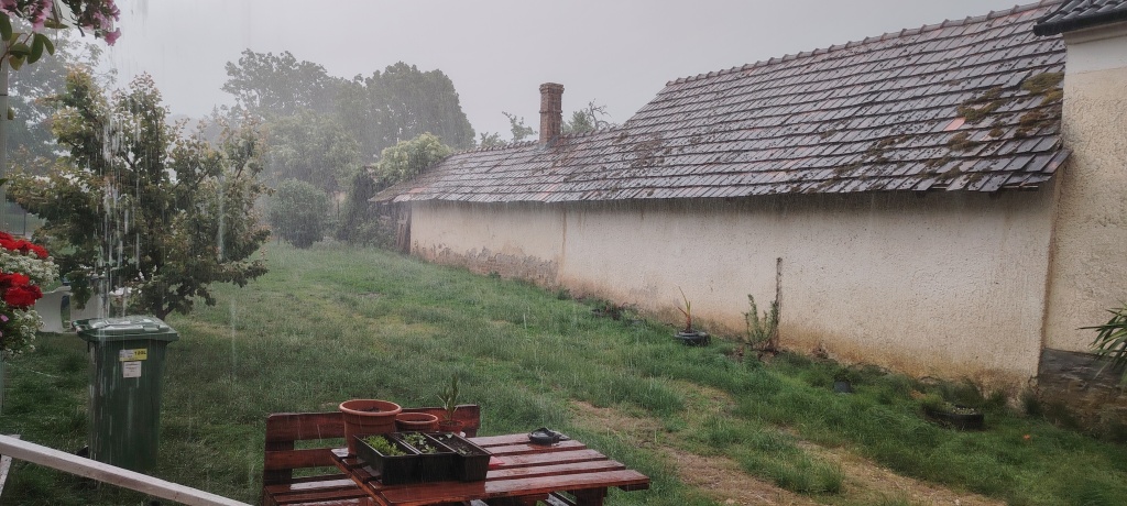 beillesztett kép