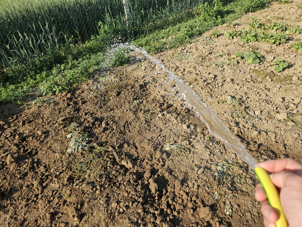 beillesztett kép