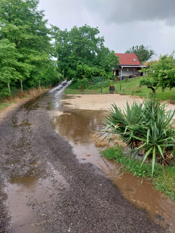 beillesztett kép
