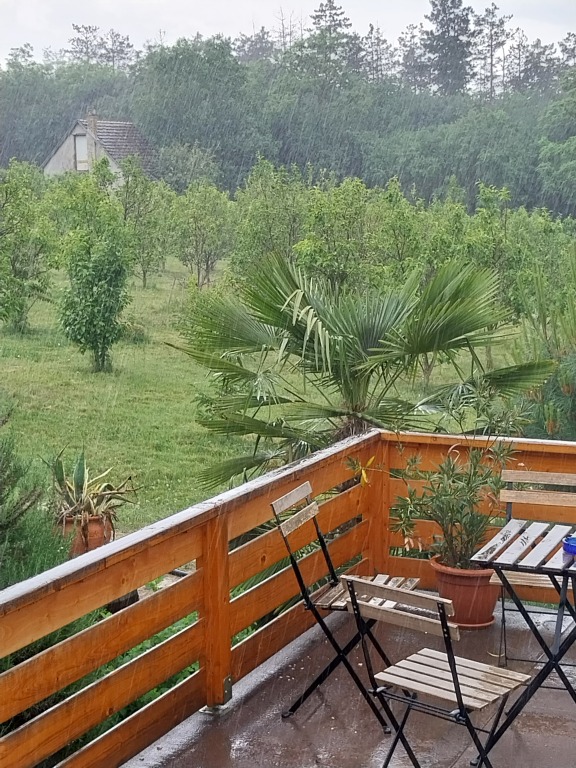 beillesztett kép