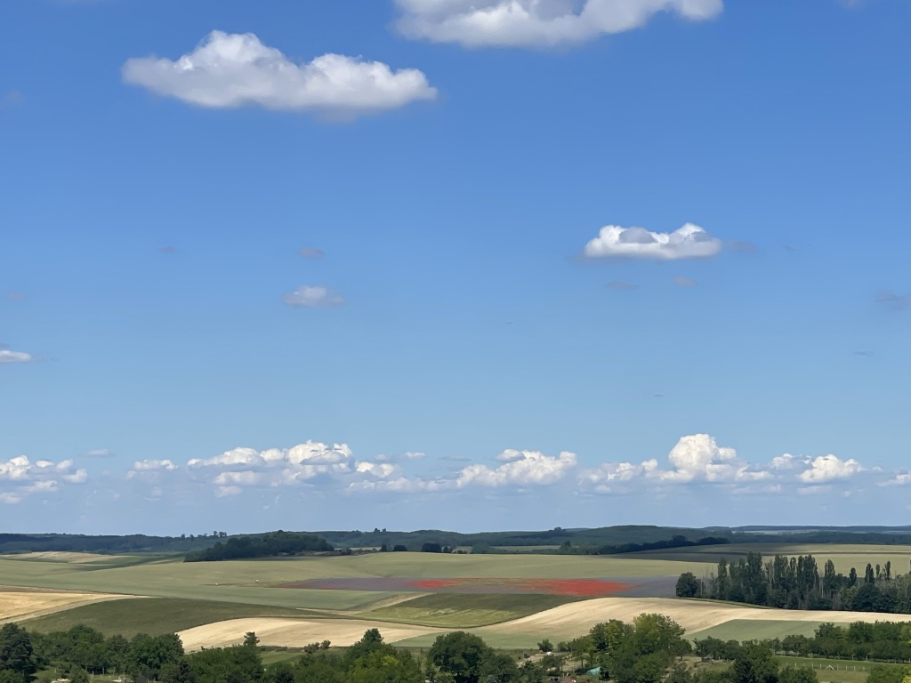 beillesztett kép