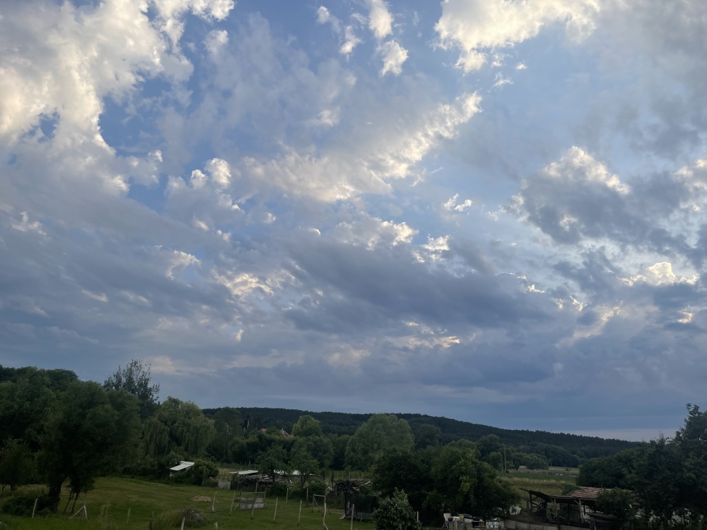 beillesztett kép