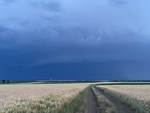 pic