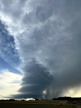 pic