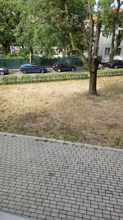 beillesztett kép