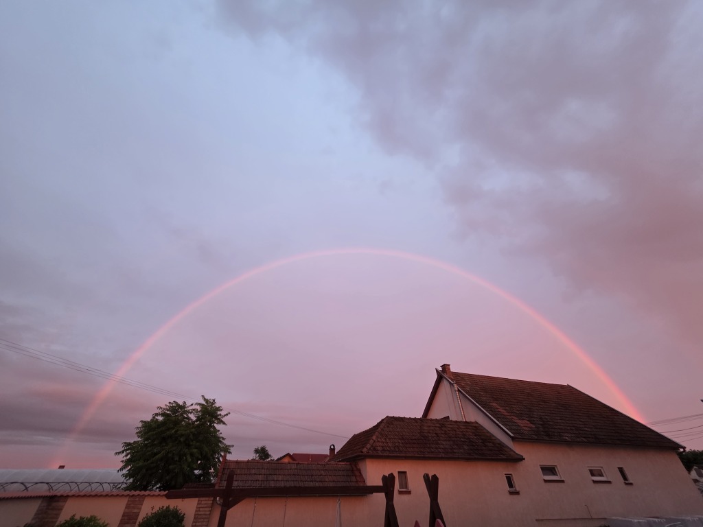 beillesztett kép