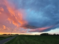 pic