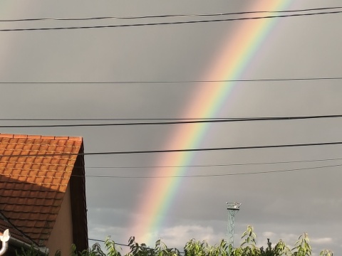 pic