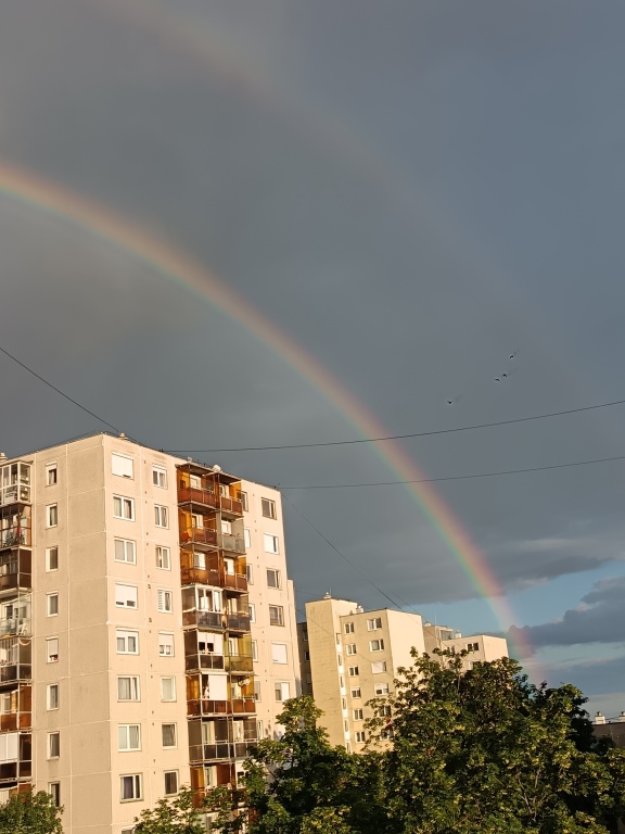 beillesztett kép