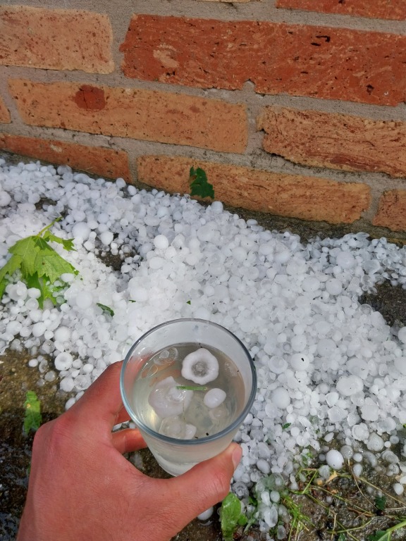 beillesztett kép