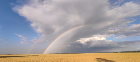 pic