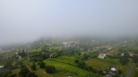 pic