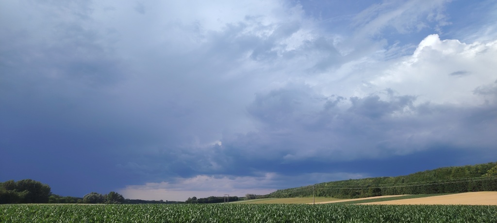 beillesztett kép