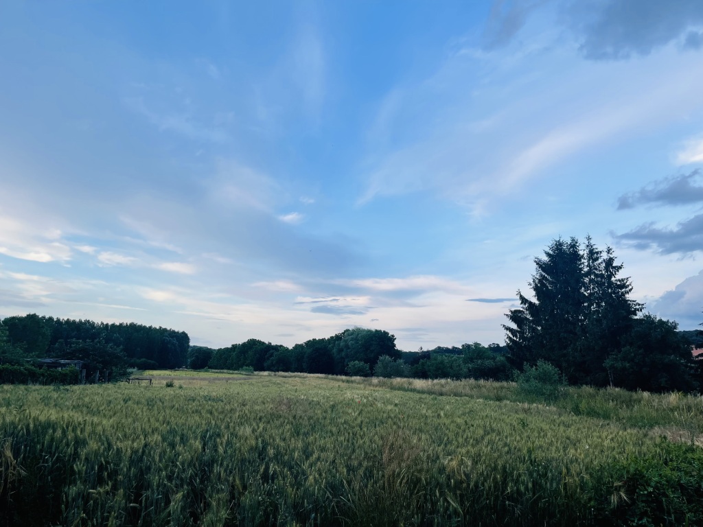 beillesztett kép