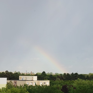 pic